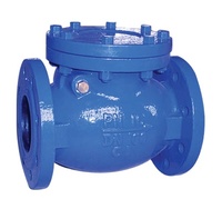 Corps de vanne en fonte grise moulé en résine durable pour le traitement de l'eau, marque Ruihengjun, service OEM