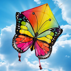 Tùy Chỉnh Bán Buôn Cho Trẻ Em Bướm Kim Cương Diều Một Chìa Khóa Mở Không Có Lắp Ráp Diều, Đáng Yêu Cho Bay - Product Image 1
