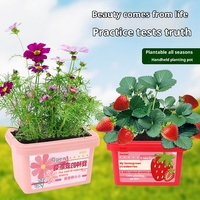 Plantation moderne en plastique écologique pour enfants plante en pot maternelle Science petite expérience ensemble élèves plante végétale