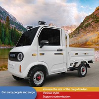 Petit camion à plateau plat, véhicule utilitaire, pick-up électrique, mini-camions de fret électriques