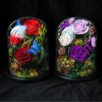 Lovebay Nouveau Design Papillon avec Rose Éternelle sous Cloche en Verre Fleurs Stabilisées Fleurs Conservées dans un Couvercle en Verre