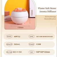 Diffuseur d'arômes Fire 360ml USB, garantie 1 an, humidificateur à brume froide avec pierres de sel de cristal et simulation de flamme 3D pour huiles essentielles