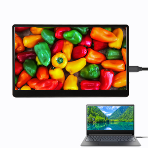 Màn Hình Di Động 15.6 Inch Du Lịch Màn Hình Cho Máy Tính Xách Tay Tiết Kiệm Điện Năng IPS Hiển Thị Thêm Thứ Hai Xách Tay Màn Hình Màn Hình Nhựa Trường Hợp - Product Image 1
