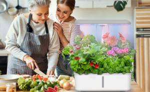 Tuya Wifi Smart Hydroponics Growing Systems Mini Indoor Home Grow Light Smart Garden Planter Herb Seed Sprouter Kit SGH01 - Product Image 6