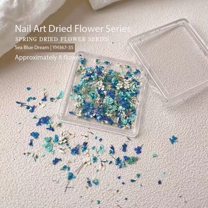 1 Boîte de Fleurs Séchées en Plastique pour Décoration d'Ongles, Couleurs Mixtes, Fleurs Naturelles Réelles, Autocollants DIY pour <span class=keywords><strong>Manucure</strong></span>, Petites Fleurs Fraîches - Product Image 1