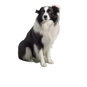 Tapete de Entrenamiento para Mascotas Personalizado SAP, Impermeable y Antideslizante con Características Sostenibles para Perros - Product Image 2