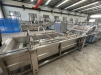 Industriële fruit- en groentewasmachine/reinigingsapparatuur automatische grote commerciële continue bladwasmachine