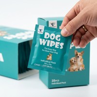 Lingettes pour animaux de compagnie écologiques, douces et durables, emballées individuellement, lingettes humides jetables XL, pour chiots, chatons, voyages, nettoyage à domicile