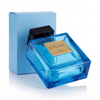 Atomiseur de parfum rechargeable en verre vide de 100 ml, vente en gros premium, emballage personnalisé avec logo, flacon de parfum de luxe avec boîte