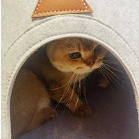 Gros personnalisé grand lit de luxe chat laine chat maison meubles pliable tente pour animaux de compagnie