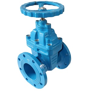 Válvula de Compuerta Longyao Shuangyong DN100 PN16 con Revestimiento de Goma para Control de Flujo de Agua - Product Image 5