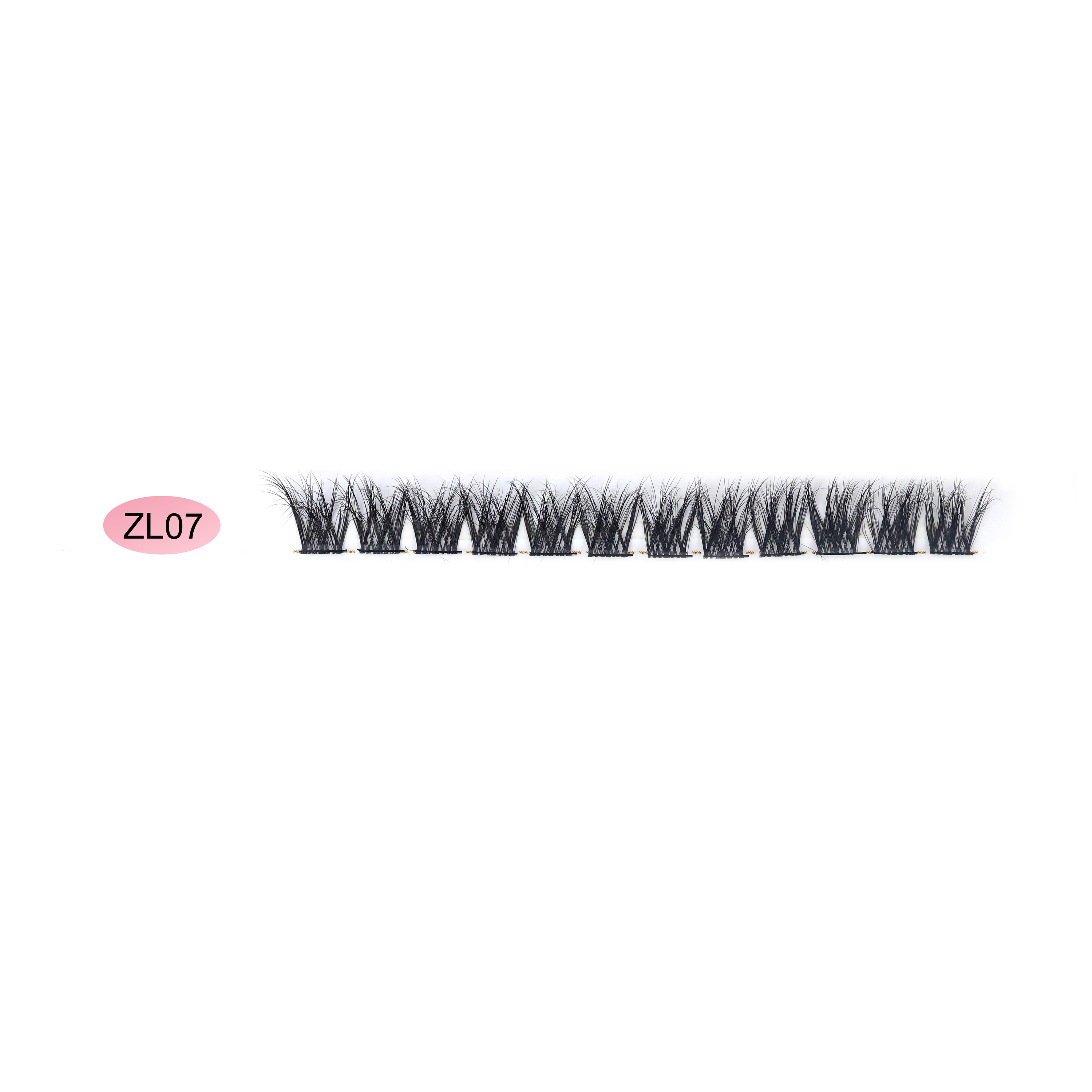 ZL07