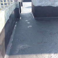 Primer Wasserdichte Beschichtungsfarbe für Dachleckagen-Abdichtung mit Bitumen-Flüssigrolle Wasserdichte Beschichtung