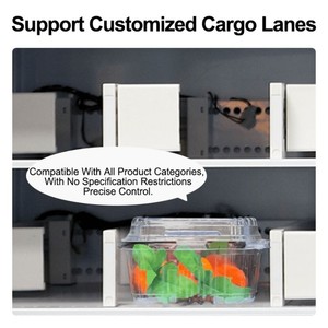 Distributore Automatico Digitale per Alimenti Freschi con Due Scomparti e Schermo Touch da 32 Pollici per Insalata, Frutta e Verdura, per Uso Esterno in Ospedali - Product Image 3