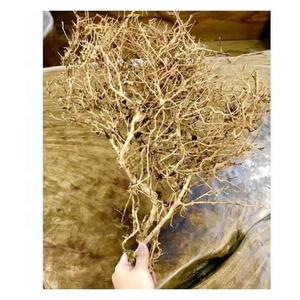 ไม้ตกแต่งตู้ปลา ต้นไม้ลอยน้ำ ประเทศไทย - Product Image 4