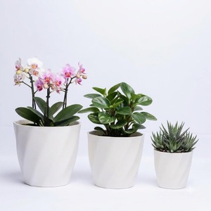 Maceta Pequeña de Plástico al por Mayor, 9x6x8.5cm, Material PP, Forma Poligonal, 3 Colores, con 2 Orificios de Drenaje para Suculentas, Ideal para Regalo - Product Image 1
