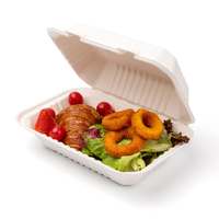 Conteneurs alimentaires en bagasse 100 % biodégradables et compostables sans PFAS, boîtes à clapet en canne à sucre, fabriquées en Chine, hors taxes
