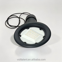 Luminaria de Jardín en Forma de Campana, Farola Exterior Colgante Pintada en Negro, Carcasa de Aluminio Fundido, Lámpara de 30W