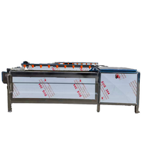 Automatische Lage Schade Fruit Groente Bubbel Wasmachine Roestvrij Staal Machine Banaan Fruit Mango Borstel Wasmachine