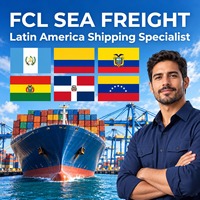 Agent de transport maritime de conteneurs FCL Chine-Chili, Costa Rica, Guatemala, transitaire, expédition de conteneurs, support douanier