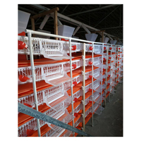 Cages/abreuvoirs commerciaux de cailles en plastique de type H à 6 niveaux pour cages à cailles en Russie