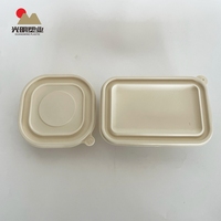 2024 vente en gros carré 500ml boîte jetable à emporter boîte pour chien amidon de maïs dégradable compartiment unique boîte de restauration rapide avec couvercle