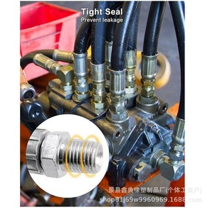Tubería de aceite de alta presión Xindian 1007 10-90 Bar para piezas de motor de turbocompresor - Product Image 2