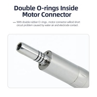 Micromoteur dentaire 1:1 à turbine à air, pièce à main basse vitesse, 4 trous, en acier inoxydable, certifié CE