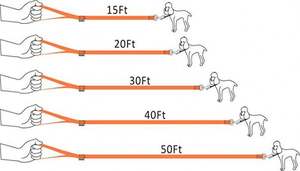 Cane Al Guinzaglio 3/4 "Wide Cotone Web 10 M di Lunghezza per la Formazione Con Girevole di Chiusura A Scatto - Product Image 6