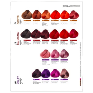 OEM private label prezzo del produttore all'ingrosso prodotti di bellezza per la cura dei <span class=keywords><strong>capelli</strong></span> cosmetici trattamento alla cheratina <span class=keywords><strong>tabella</strong></span> dei <span class=keywords><strong>colori</strong></span> della tintura per <span class=keywords><strong>capelli</strong></span> - Product Image 1