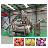 Automatische Fabriek Fruitgroente Stoomschilmachine Kernpomp Voor Efficiënte Gember Cassave Banaan Knoflook Aardappelschillen