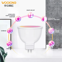 WOOJONG-Ampoule connectée compatible avec Alexa Google Home DC 12V AC 110-240V RGB GU10