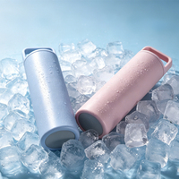 Bingzhen – Bouteille isotherme portable en gros pour boissons chaudes et froides, type compresses magiques coréennes et japonaises, tasse à glace