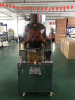 Commerciële automatische citruspers sinaasappelpersmachine roestvrijstalen filter 300W motor met omkeerbeveiliging voor het persen van sap