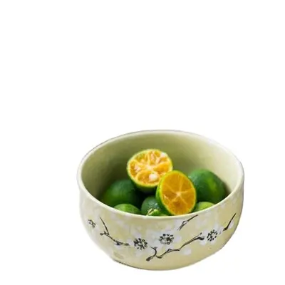 Hand bemalte Keramik schale im japanischen Stil Kreative Suppen schüssel Ramen schale Keramik