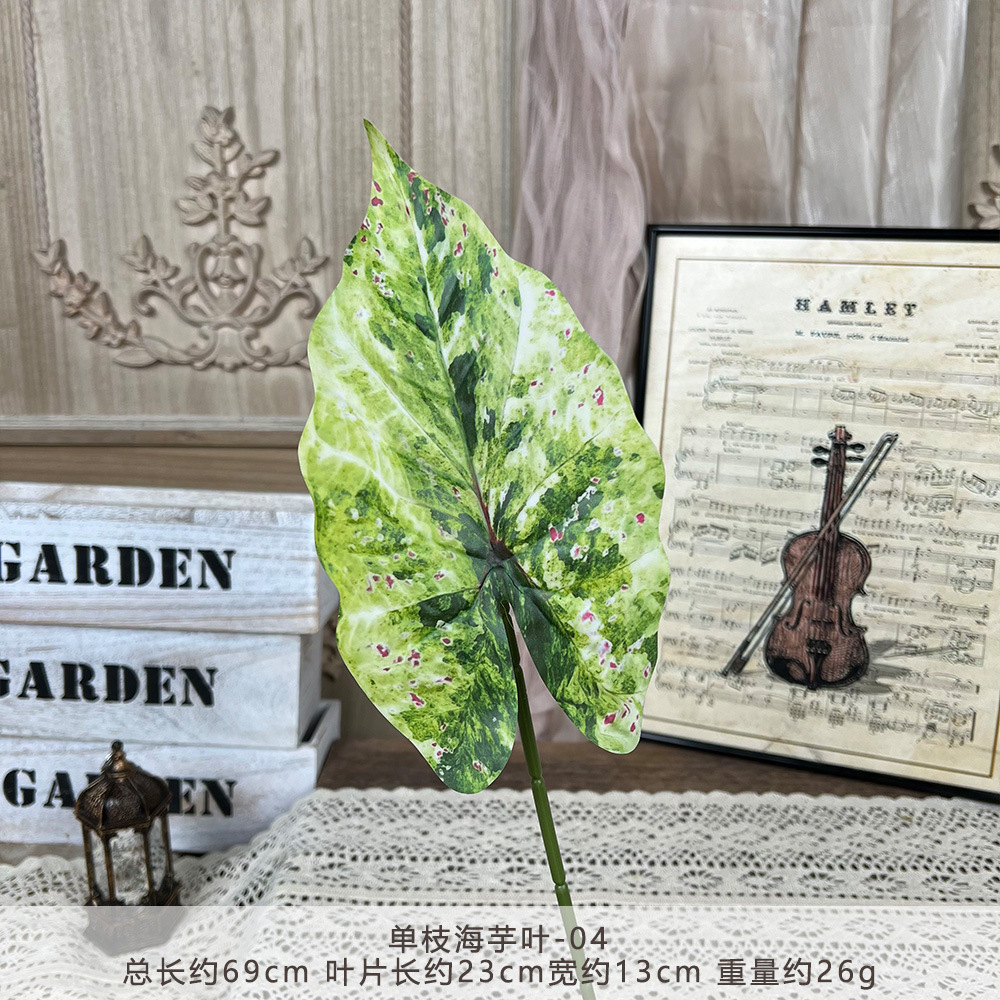 YM2-Single taro leaf-04