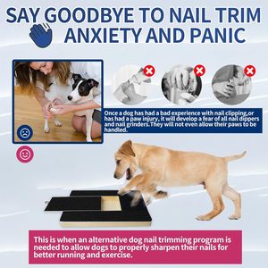 JQ Foldable Adjustable Dog <strong>Scratch</strong> <strong>Pad</strong> Dog <strong>Scratch</strong> Board Double Sided Dog Nail Scraper <strong>Pad</strong> for Clippers Alternative - Product Image 3