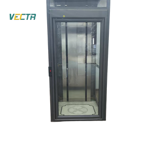 Ascensori Domestici Moderni di Piccole Dimensioni con Qualità Superiore, Asse Cielo-Terra, Porta Azionata Manualmente, Ultimo Stile - Product Image 3