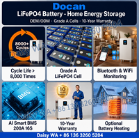 Batterie de stockage d'énergie domestique LiFePO4 Docan EU Stock DDP 51.2V 600Ah 1000Ah 15kWh 32kWh 50kWh Système solaire Plug & Play 8000 cycles
