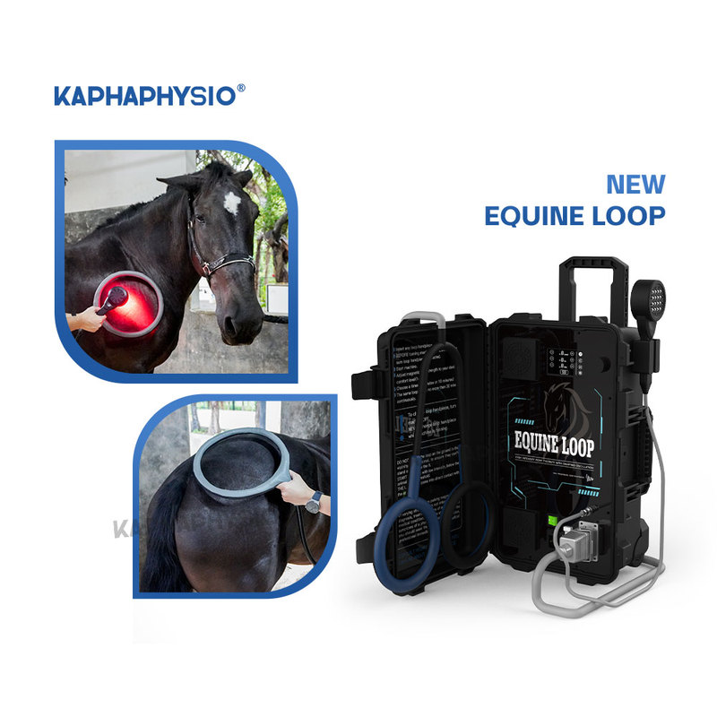 KAPHAPHYSIO Advanced Veterinary Healing Therapy Equipment
