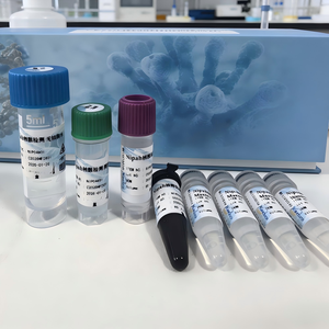 Ultra-Sensitiver Nipah-Virus Nukleinsäure-Testkit Fluoreszenz-Sonden-Methode zur Frühscreening - Product Image 2