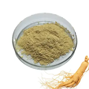 Hot bán Panax Ginseng lá chiết xuất bột tự nhiên 80% ginsenoside bột