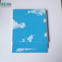 Panel de Techo de PVC Satinado Azul Cielo, Diseño Falso, Tablero de Techo de PVC, Lambris de PVC, Faux Plafond, Tiras de Techo