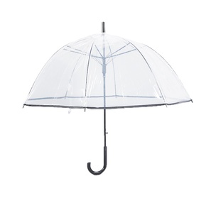 Wholesale The New Listing Small Fresh Long Handle Plastic Transparent <b>Umbrella</b> for Adult Women - Product Image 1