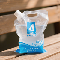 Sac à eau épaissi de qualité alimentaire 5L 10L Film en aluminium Sac à buse en aluminium résistant à la lumière 5L personnalisé
