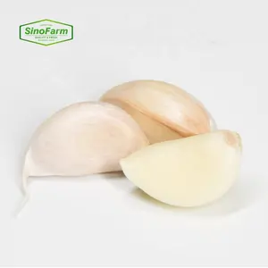 Export Fresh Chinese Garlic 4.5Cm-6.5Cm/ Carton/Bag Wholesale Price Sold