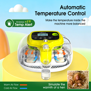 Incubateur à œufs de poulet WONEGG M16 Pro avec contrôle de <span class=keywords><strong>l</strong></span>'humidité et bouteilles de remplissage d'<span class=keywords><strong>eau</strong></span> - Product Image 2
