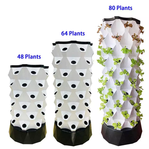 2023 Searea Système de plantation vertical hydroponique Serre en pleine croissance Tour de jardin Tour d'ananas avec lumière led - Product Image 3