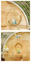 Cage à oiseaux panoramique en bois massif de qualité supérieure avec roulettes et tiroirs pour l'élevage des perroquets