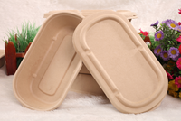 Oasis-Bol Togo à salade de fruits en fibre de bambou jetable de 1000ml, couvercle robuste et anti-fuite, pour le camping, vente en gros